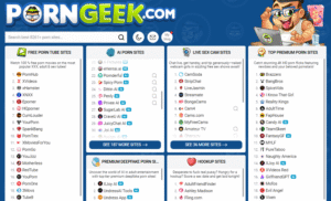 Porn Geek