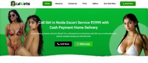 Call Girl in Noida